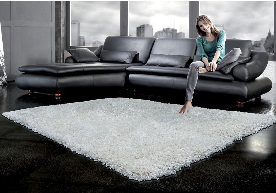 living room rug shag