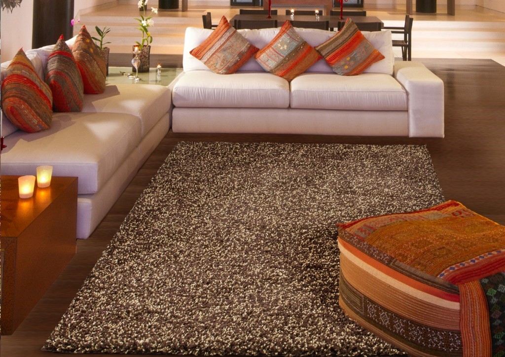 living room rug brown