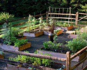 Impressive Vegetable Garden Designs And Plans Interior Design